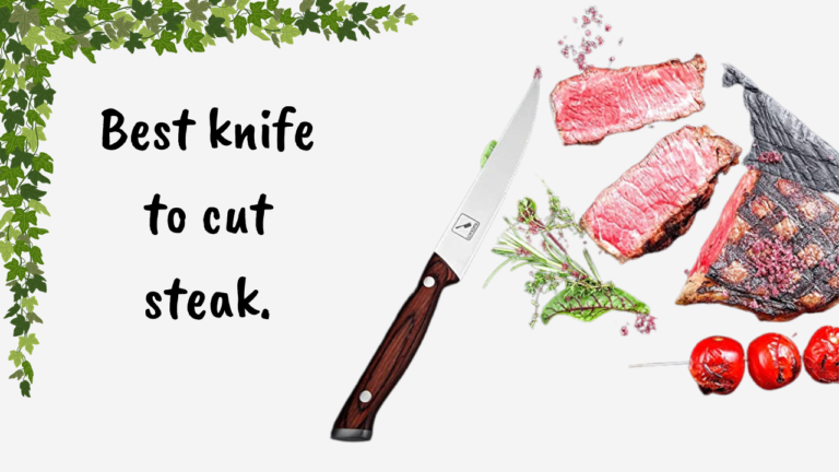 best-knife-to-cut-steak